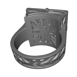 3D-Modell des Rings